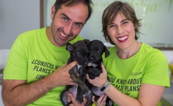 Clínica Veterinaria Mijas Pueblo