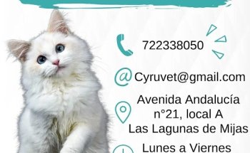 ???? Cyruvet Clínica Veterinaria — Urgencias las 24 horas ????