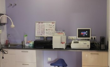 CLINICA VETERINARIA INTERNACIONAL- MALIKA DURÁN MERTENS