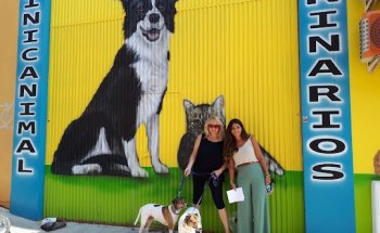 CLINICANIMAL VETERINARIOS