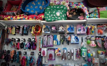 Clinica Veterinaria Canisur