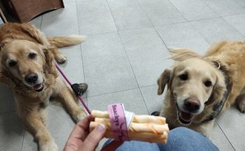 Clinica Veterinaria Pasión Canina