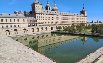 Clinica Veterinaria La Teneria