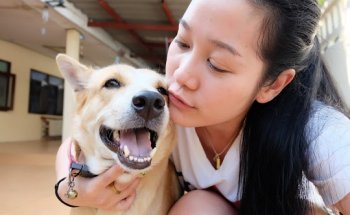 Dogtora Tu Veterinaria A Domicilio