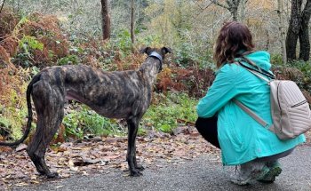 Clínica Veterinaria Zarpas