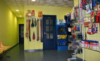 Clínica Veterinaria 