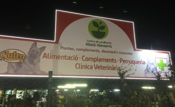 Lyon Veterinaria