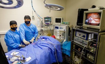 Global Hospital Veterinario