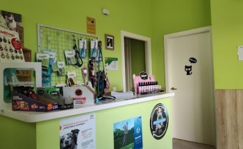 CLÍNICA VETERINARIA COMO PERROS Y GATOS