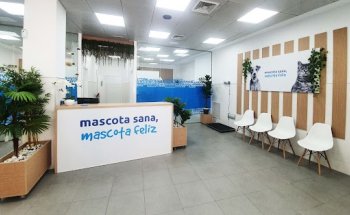 Clínica Veterinaria Ávila San Fernando