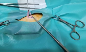 Clinica Veterinaria ISLAVET