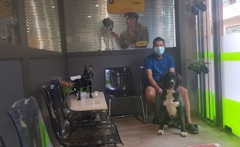 Naturvet Centre Veterinari