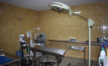 Clínica Veterinària Eudald Toralles