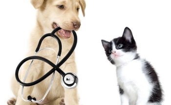 Clínica Veterinaria La Rosa