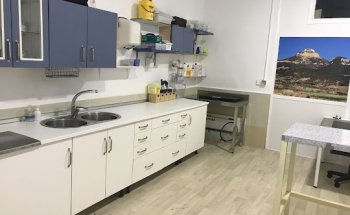 Consultorio Veterinario El Carmen