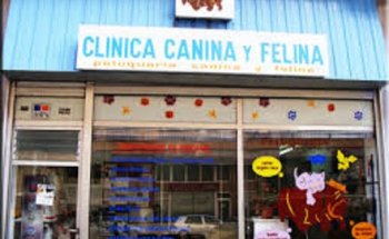 Clínica Veterinaria Canina y Felina