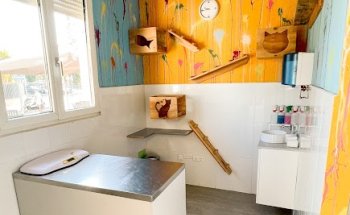 Clínica Veterinaria Vetsur - Torremolinos