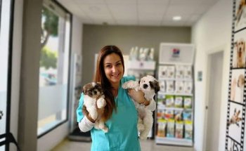 Clínica Veterinaria PinoVet