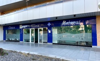 Clínica Veterinaria Felina Malagat