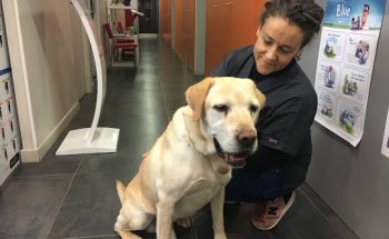 ATV Clínica Veterinaria