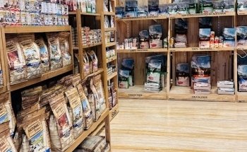 Clínica Veterinaria DRL Torrevieja