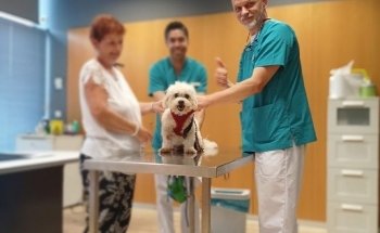 Clínica Veterinaria DRL Torrevieja