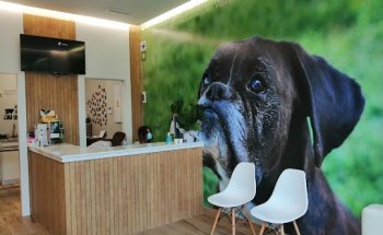 Clínica Veterinaria Vázquez Ferrete