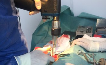 Hospital Veterinario Valdemoro