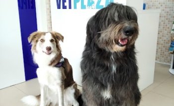 Centro Veterinario VETPLAZA