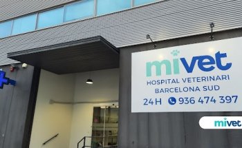 Hospital Veterinari Barcelona Sud | MiVet