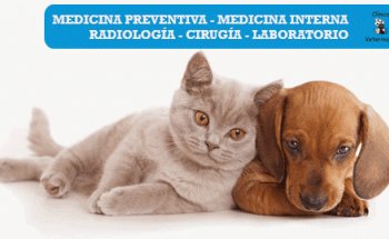 Clínica Veterinaria Susana