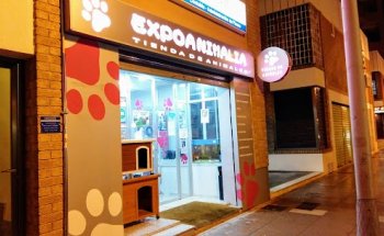 EXPOANIMALIA PIO XII