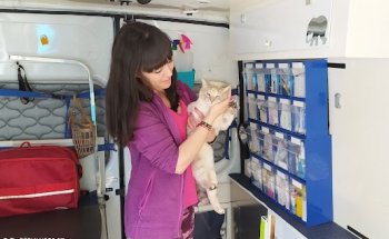 Veterinario A Domicilio