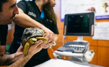 Hospital Veterinario Privet Aluche