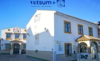 Hospital Veterinario Alhaurín El Grande | Urgencias 24 horas