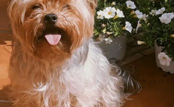 Clinica Miguel Cabello