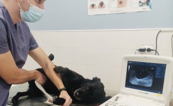 Centro Veterinario Ardila-Alcalá del Río