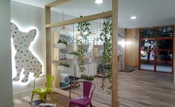 Clínica Veterinaria Elena Sáenz