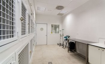 Hospital Veterinario de la Universidad Católica de Valencia