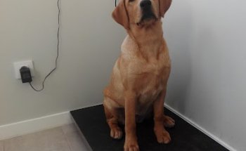 Centro Veterinario Las Canteras