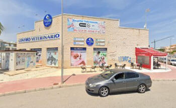 Centro Veterinario