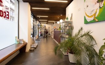 Clínica Veterinaria Etorbide Amorebieta