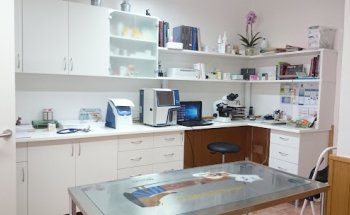 VETERINARIA SAN TELMO