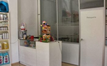 Puppy Centro Veterinaria