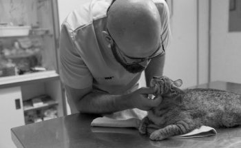 Clínica Veterinaria Astorga