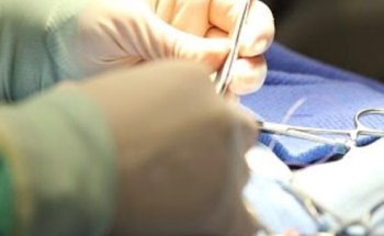 ALBEITAR CLINICA VETERINARIA