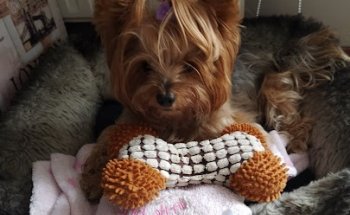 Unai San Vicente Alvarez