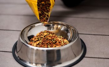 CLINICA VETERINARIA ZAMALBIDE