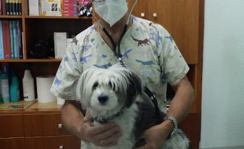 Consultorio Veterinario Baena