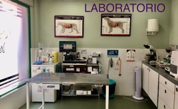 Clínica Veterinaria Velilla de San Antonio